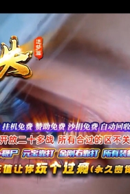 �쾳��ʧ׷��ƪ֮�ڰ��������޵���ְҵ�汾-����ѻ-GOM����