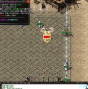 ҹʧѩְҵ汾--GOM