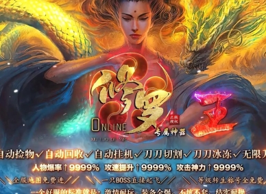 ������IIר��������ְҵ�汾-��������֮��-GOM����