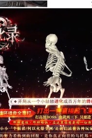 �������ý���¼ר���������޵���ְҵ�汾-��֮�ż�����-�������