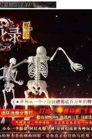 ���ý���¼�ڶ���ר���������޵���ְҵ�汾-��֮�ż�����-�������